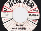 Teen Doo Wop 45 - MIKE JOSEPH - Sandy / King Of Wealth