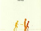 Zero 7 SIMPLE THINGS Debut Album 180g REMASTERED New Sealed Black Vinyl 2 LP