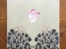 PRISTINE 2009 DEVENDRA BANHART 'SMOKEY ROLLS DOWN THUNDER CANYON' DOUBLE LP