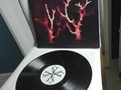 SOL INVICTUS     original Vinyl LP      Trees In Winter (1990)