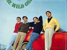 THE WILD ONES ALBUM JAPAN GARAGE PSYCH FUZZ RARE 1967 ORIG LP POKORA CP-8157