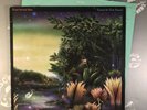 FLEETWOOD MAC • Tango In The Night • WX65 • Vinyl LP Record +INNER • EX+/EX-