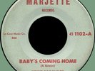 HOUND DOG TAYLOR Baby's Coming Home / Five, Take Five 45rpm Marjette 1960