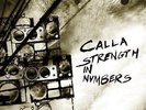 CALLA STRENGTH IN NUMBERS * NEW VINYL