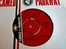 TERRY KNIGHT & THE PACK UK CAMEO PARKWAY 45 I WHO HAVE NOTHING 1966 1st ISSUE EX