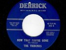 DOOWOP-TRIBUNES-DERRICK 502-NOW THAT YOU'RE GONE/THE CODE OF LOVE