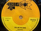 TENNORS YOU ARE NO GOOD / DO THE REGGAE OG UK BIG SHOT 7