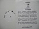 LP DE**ANTHONY ROTHER - SIMULATIONSZEITALTER (PSI 49 NET/ TEST-PRESS) 20878