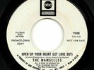 Northern Soul - The Mamselles – Open Up Your Heart (Let Love Out) – ABC Records