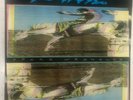 WIDESPREAD PANIC- SPACE WRANGLER 1988 ORIGINAL Landslide Records LD1016 LP