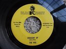 The Wig Cracking Up Bluescene Blacknight 903 VG++ Texas Garage