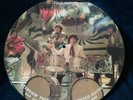 pink floyd Syd Barrett limited edition interview picture disc 12