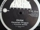 Techno Music Records Vinyl Bundle. Various Labels.