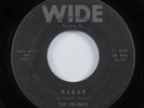 Instrumental Surf Tittyshaker 45 DEL-RAYS Radar WIDE HEAR