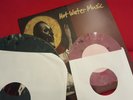 Hot Water Music Finding the Rhythms Grey Marbled color Vinyl LP +  Purple 7