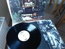 GRANT LEE BUFFALO original Vinyl LP Mighty Joe Moon (1994)
