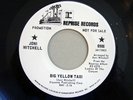 JONI MITCHELL Big Yellow Taxi/Woodstock Promo UNUSED 45RPM Reprise 0906 RARE