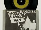 RAMONES Swallow My Pride 7
