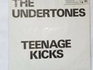 The Undertones  Teenage Kicks *Sanctuary*  7 Inch Vinyl PUNK