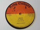 TREVOR SINCLAIR - HAIL UP Roots Stepper Reggae 12
