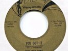 The Dealers    **  YOU GOT IT   **   Big Bunny  **  60 ' s Northern Soul