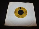 Steel City Metal /Try to Create RARE 45 1997 Don Cappa C.Seifert MINT Brown Acid