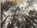 Johnny Flynn, Being Listening, Lp, Vinyl