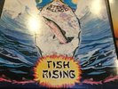 2- Steve Hillage LP’s, 1975 Fish Rising & 1977 Motivation Radio LP’s