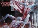CANNIBAL CORPSE - Tomb Of The Mutilated * LP * 0039841400311