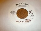 The Lollipops 45 Love Is The Only Answer PROMO RCA VICTOR