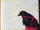 DEATH CAB FOR CUTIE Transatlanticism Vinyl LP Record
