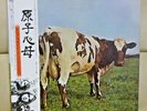 Japan LP+Obi PINK FLOYD / Atom Heart Mother  EMS-80320   Free Shipping