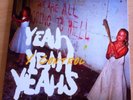 Yeah Yeah Yeahs - Y Control 7