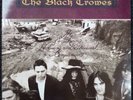 The Black Crowes - The Southern Harmony and Musical Companion - Vinyl LP - A1/B1