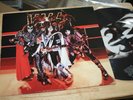 Kiss - Hotter Than Hell In Paris - Rare Casablanca Japan Fan Club Picture Disc