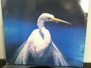 FAITH NO MORE angel dust *RARE 1st PRESS GREEK* melvins soundgarden mr. bungle