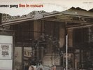 JAMES GANG w/ Joe Walsh - Live In Concert (1971) VINYL [ABCX 733] NM+