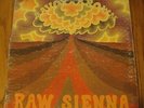 Vintage LP Savoy Brown Raw Sienna 1970 PAS 71036 Parrot