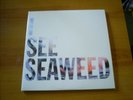 THE DRONES I see seaweed SPANISH DOUBLE LP 2014 AUSTRALIAN POST ROCK