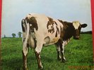 PINK FLOYD - ATOM HEART MOTHER - 1970 G/FOLD LP  - SHVL 781 - A1G/B1G 1ST VG/VG+