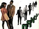 Rock Steady With Dandy 12