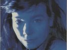 Telegram Björk USA vinyl LP album record 61897-1 ELEKTRA 1996