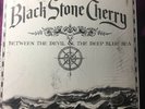 Black Stone Cherry Between The Devil & The Deep Blue Sea Vinyl Lp NM/NM