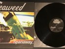 Seaweed Spanaway Hollywood Records Promo w/sleeve