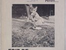 FRIZ BE: Hmm. PIGLET Swedent  Experimental, Minimal, Synth-pop OG LP