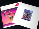 TALK TALK 2Lp's IT'S MY LIFE & SPIRIT OF EDEN