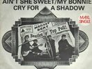 The Beatles Aint She Sweet DUTCH EP Vinyl Single 7inch NEAR MINT Polydor