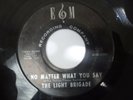 The Light Brigade No Matter What You Say / Lonnie's Song E & M garage rock