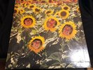 SUNNYBOYS   1982 OZ ROCK LP   