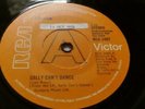 LOU REED -SALLY CAN’T DANCE rare UK 1974 DEMO PROMO / VELVET UNDERGROUND